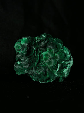 Rare Raw Botryoidal Malachite  | Specimen Collectors Piece | 17